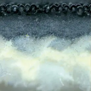 Conti-Air Black Pearl